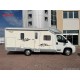 Giottiline Therry T36 - 2012