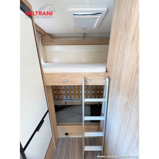 Ci Horon 79 M - 2019