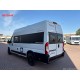 Dreamer Fun Addict Camper Five - 2023