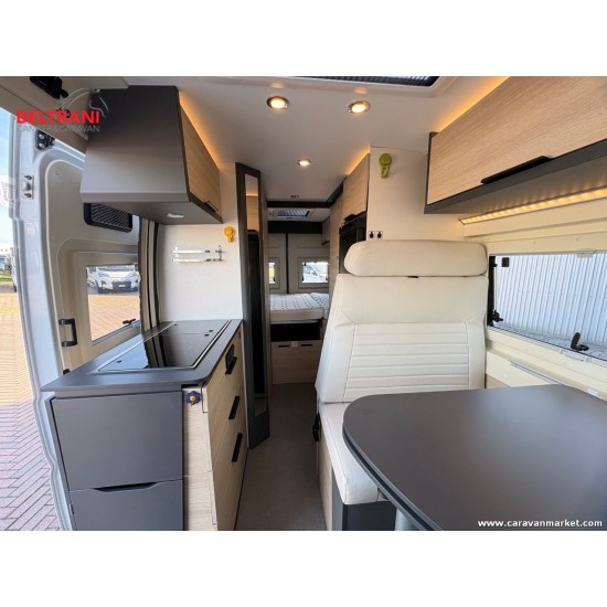 Dreamer Fun D55 - 2024