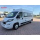 Dreamer Fun D55 - 2024