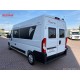 Dreamer Fun D55 - 2024