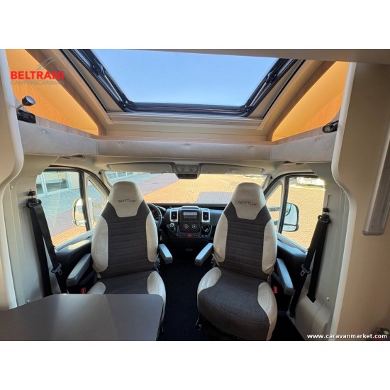 Giottiline Siena 330 - 2022