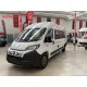 Dreamer Fun D55 20° years - 2026 | Automatico