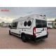 Malibu van 640 LE GT Charming - 2019 | Automatico