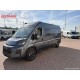 Dreamer Select D55 Saphir - 2025